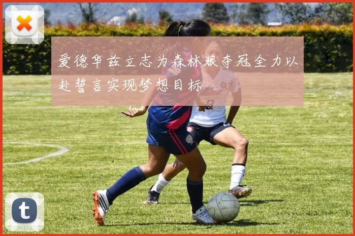 爱德华兹立志为森林狼夺冠全力以赴誓言实现梦想目标